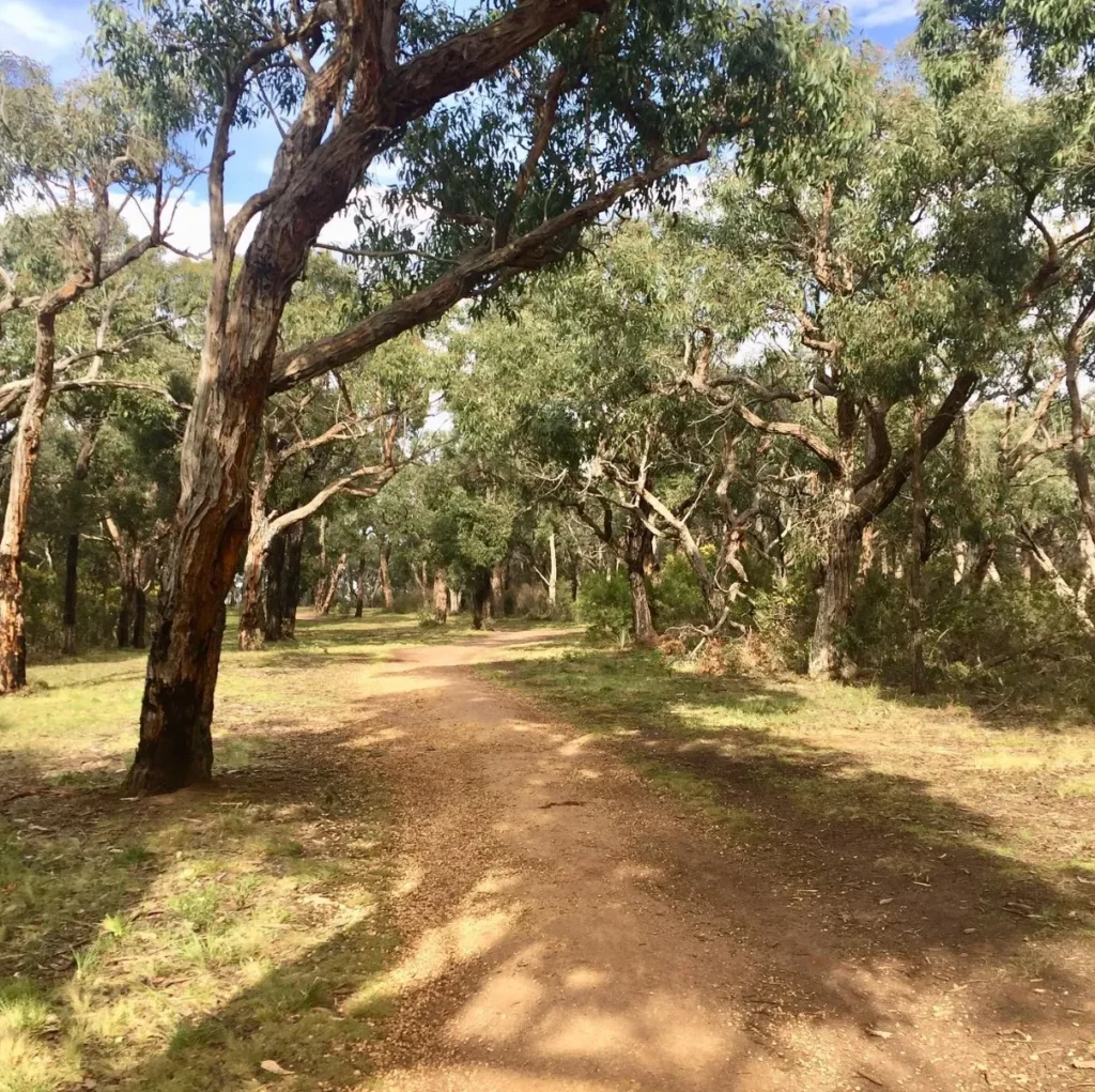 Ironbark Basin Walk