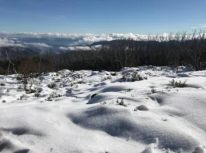Melbourne to the Mountains Top Snow Trip Destinations