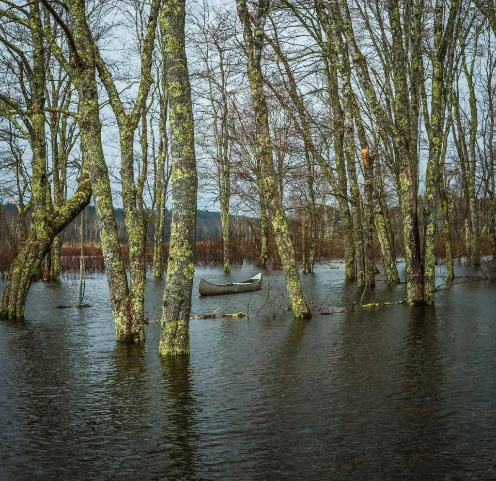Saint George River