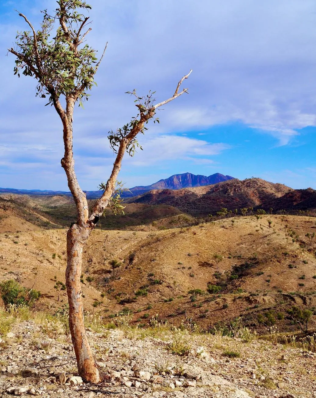 To Consider, The Larapinta Trail